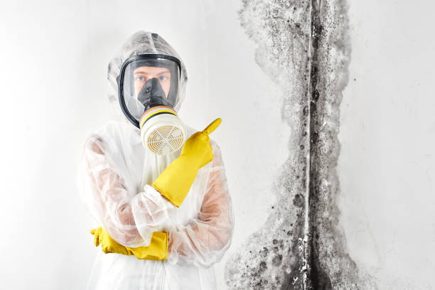 Best Mold Remediation for Vacation Homes  in Spencerport, NY